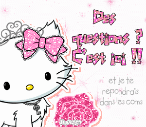 D$ qu$ti0n$ ?? C'$t ici !!